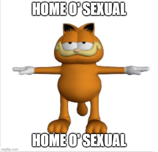 50 upvotes and this goes to lgbtq | HOME O' SEXUAL; HOME O' SEXUAL | image tagged in garfield t-pose | made w/ Imgflip meme maker
