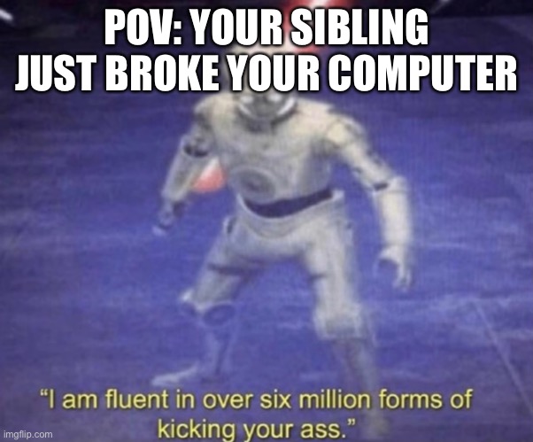 I will destroy u | POV: YOUR SIBLING JUST BROKE YOUR COMPUTER | image tagged in i am fluent in over six million forms of kicking your ass | made w/ Imgflip meme maker