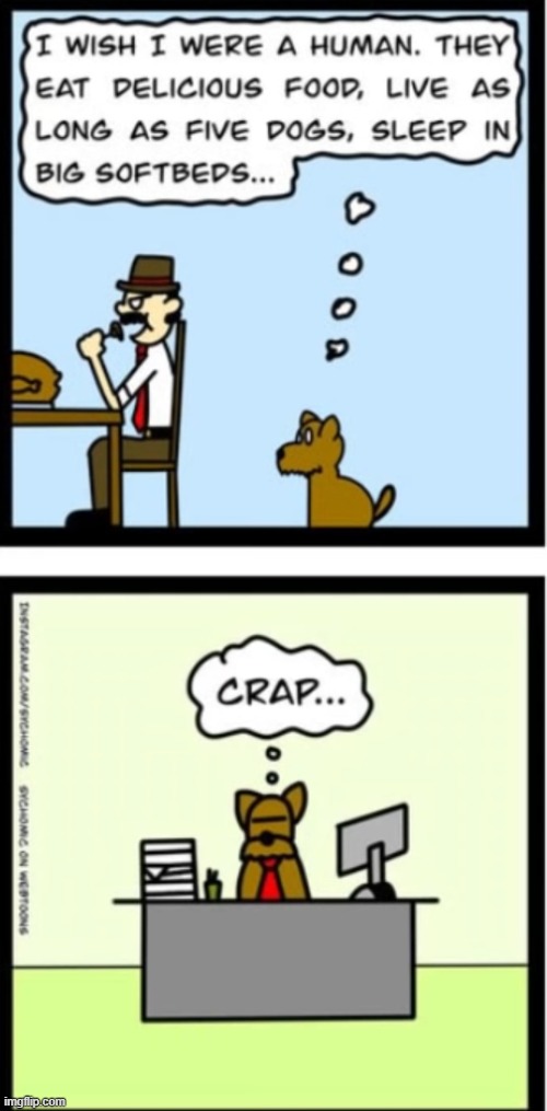 image tagged in comics | made w/ Imgflip meme maker