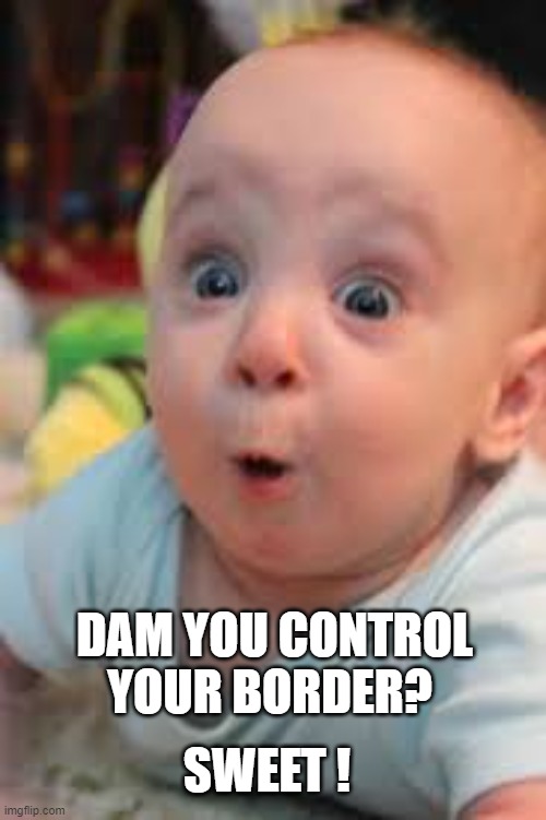 suprised | SWEET ! DAM YOU CONTROL YOUR BORDER? | image tagged in suprised | made w/ Imgflip meme maker