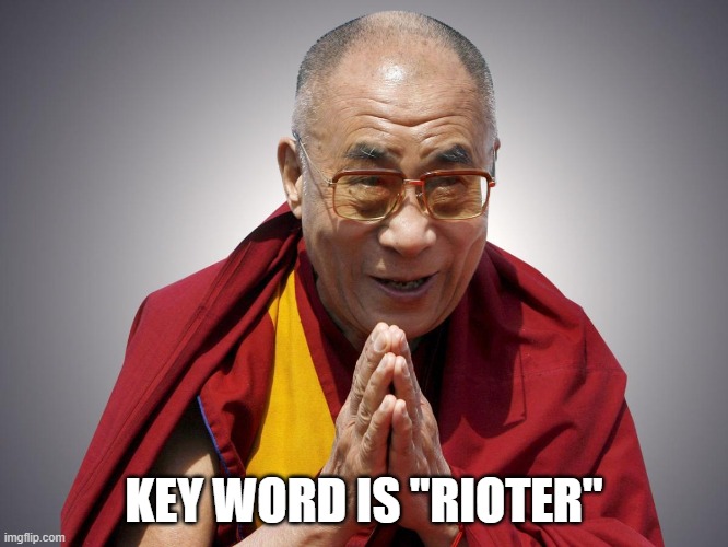 Dali Llama | KEY WORD IS "RIOTER" | image tagged in dali llama | made w/ Imgflip meme maker