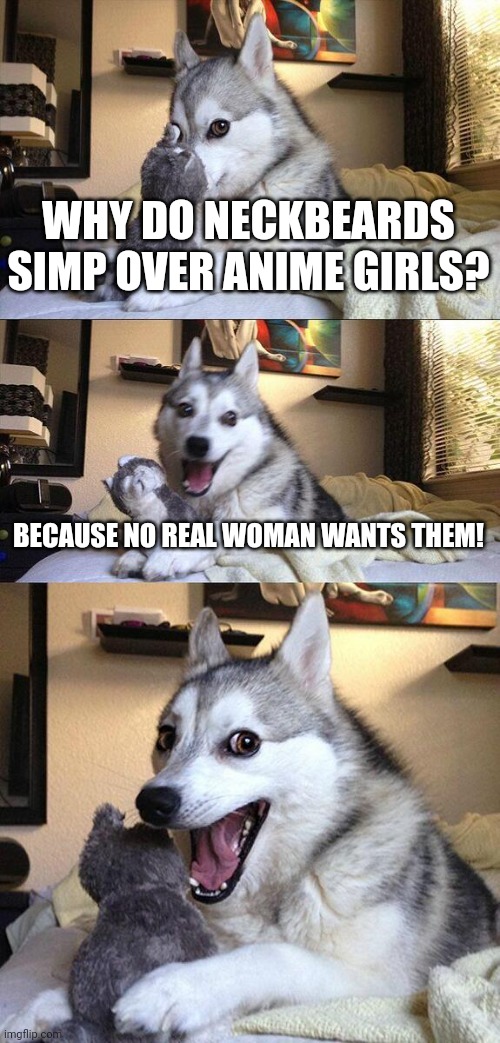 Neckbeard joke | WHY DO NECKBEARDS SIMP OVER ANIME GIRLS? BECAUSE NO REAL WOMAN WANTS THEM! | image tagged in memes,bad pun dog,neckbeard | made w/ Imgflip meme maker