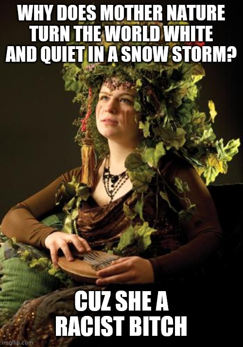 Never Let the Communists Dictate the Narrative | WHY DOES MOTHER NATURE TURN THE WORLD WHITE AND QUIET IN A SNOW STORM? CUZ SHE A RACIST BITCH | image tagged in mother nature,offensive,freedom,games,people,play | made w/ Imgflip meme maker