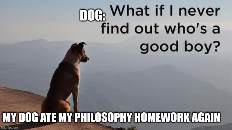 Doggo | DOG:; MY DOG ATE MY PHILOSOPHY HOMEWORK AGAIN | image tagged in doggo | made w/ Imgflip meme maker