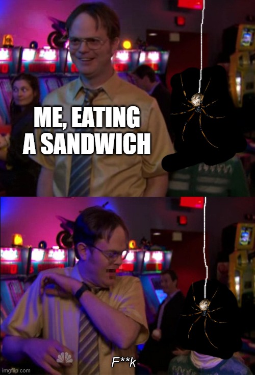 Angela scared Dwight | ME, EATING A SANDWICH | image tagged in angela scared dwight | made w/ Imgflip meme maker