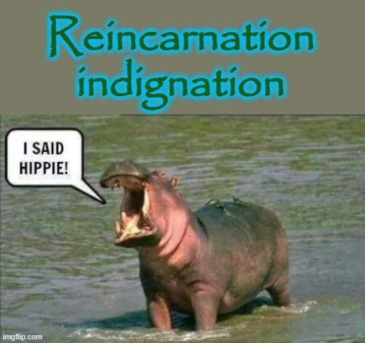 I wanted to be a hippie ! | Reincarnation
indignation | image tagged in reincarnation | made w/ Imgflip meme maker
