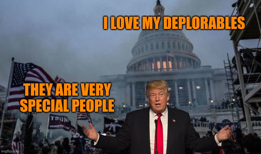 Of course you do hon | I LOVE MY DEPLORABLES; THEY ARE VERY SPECIAL PEOPLE | image tagged in misconstrued coup | made w/ Imgflip meme maker