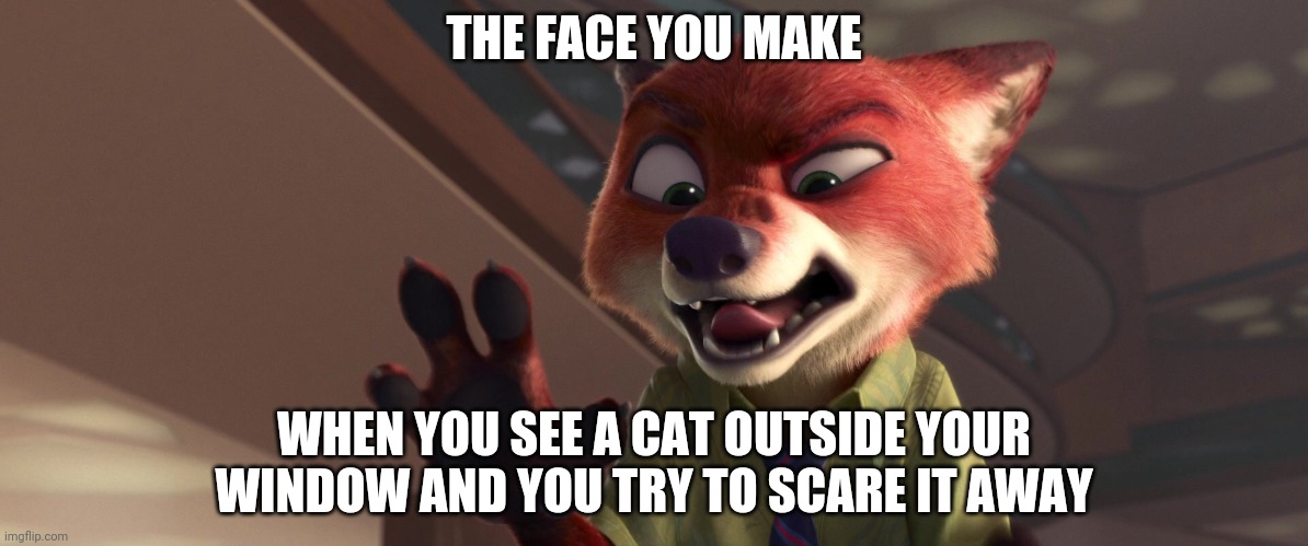 Dealing with Cats in Zootopia | THE FACE YOU MAKE; WHEN YOU SEE A CAT OUTSIDE YOUR WINDOW AND YOU TRY TO SCARE IT AWAY | image tagged in nick wilde scary,zootopia,nick wilde,the face you make when,funny,memes | made w/ Imgflip meme maker