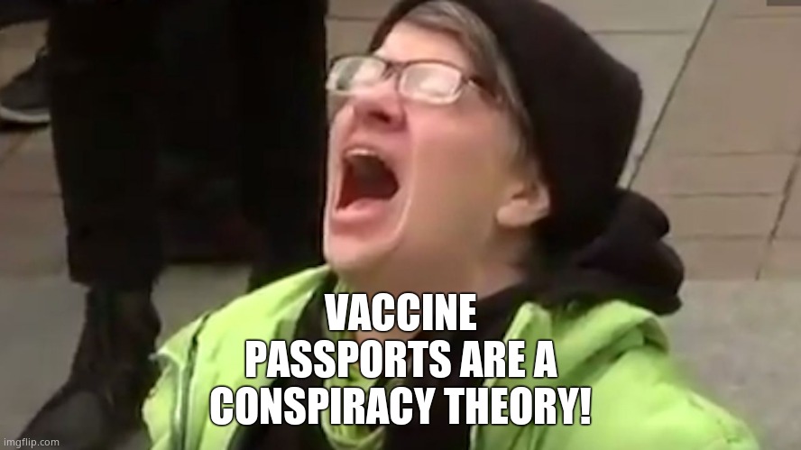 It's said it's still screaming 'til this day. Pathetic type, really. | VACCINE PASSPORTS ARE A CONSPIRACY THEORY! | image tagged in screaming liberal,vaxxtard | made w/ Imgflip meme maker