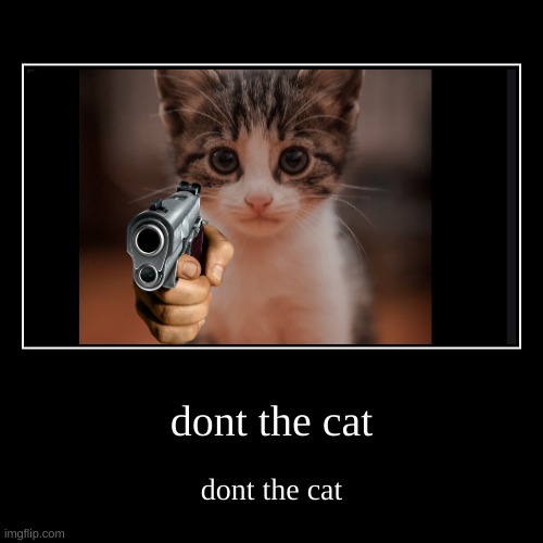 dont the cat | image tagged in funny,demotivationals | made w/ Imgflip demotivational maker