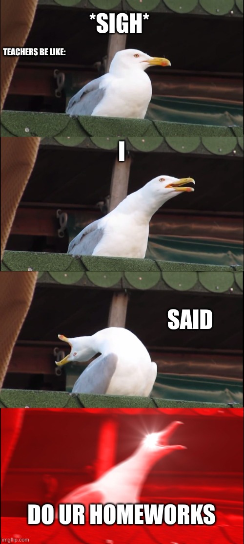 true ig? | *SIGH*; TEACHERS BE LIKE:; I; SAID; DO UR HOMEWORKS | image tagged in memes,inhaling seagull | made w/ Imgflip meme maker