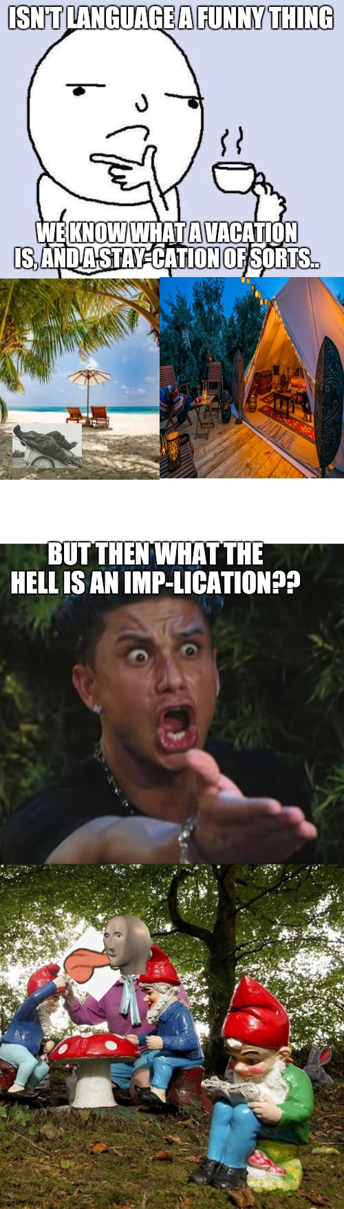 La lingua joey | ISN'T LANGUAGE A FUNNY THING; WE KNOW WHAT A VACATION IS, AND A STAY-CATION OF SORTS.. BUT THEN WHAT THE HELL IS AN IMP-LICATION?? | image tagged in thinking meme,blank white template,memes,dj pauly d,godzilla had a sunburn | made w/ Imgflip meme maker