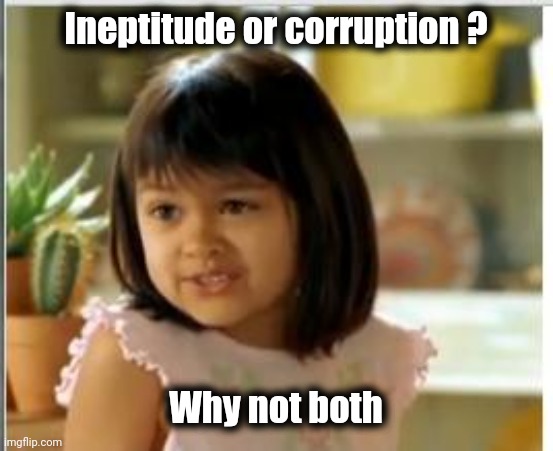 Why not both | Ineptitude or corruption ? Why not both | image tagged in why not both | made w/ Imgflip meme maker