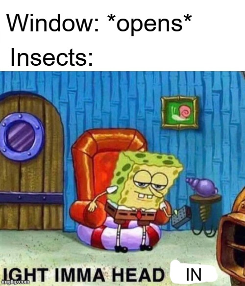 Spongebob Ight Imma Head Out Meme | Window: *opens*; Insects:; IN | image tagged in memes,spongebob ight imma head out,insects,relatable,bruh | made w/ Imgflip meme maker