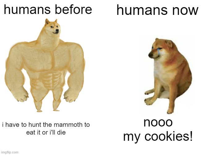 humans before vs now | humans before; humans now; i have to hunt the mammoth to 
eat it or i'll die; nooo
my cookies! | image tagged in memes,buff doge vs cheems | made w/ Imgflip meme maker