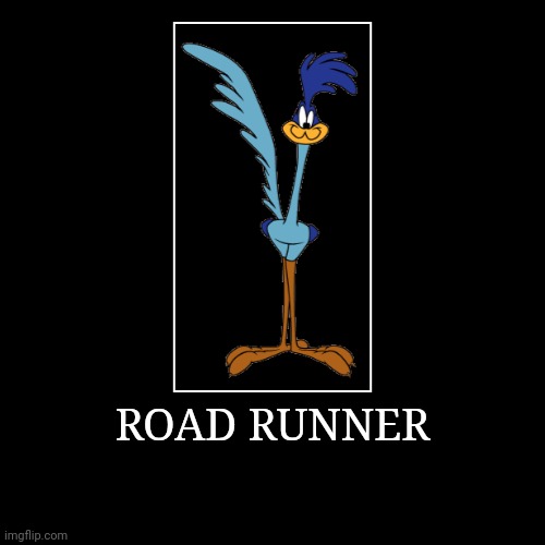 Road Runner | ROAD RUNNER | | image tagged in demotivationals,looney tunes,road runner | made w/ Imgflip demotivational maker