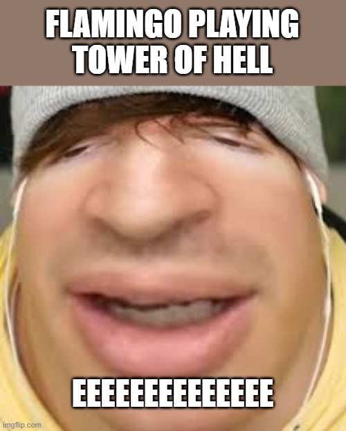 FlimFlam | FLAMINGO PLAYING
TOWER OF HELL; EEEEEEEEEEEEEE | image tagged in e | made w/ Imgflip meme maker