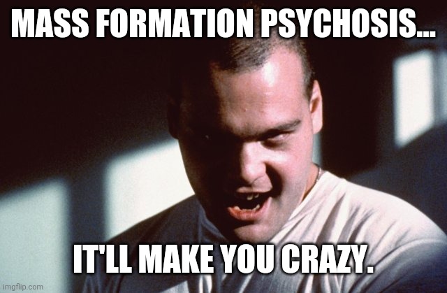 It will make you crazy. | MASS FORMATION PSYCHOSIS... IT'LL MAKE YOU CRAZY. | image tagged in psychotic snowflake | made w/ Imgflip meme maker