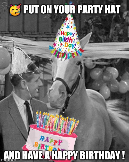 Happy Birthday |  🥳 PUT ON YOUR PARTY HAT; AND HAVE A HAPPY BIRTHDAY ! | image tagged in happy birthday memes,mr ed memes,retro birthday memes,fun,happy birthday willlbbbuuurrr,birthday cake | made w/ Imgflip meme maker