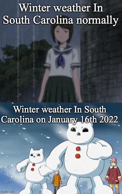 Winter weather In South Carolina normally; Winter weather In South Carolina on January 16th 2022 | image tagged in digimon,snow | made w/ Imgflip meme maker
