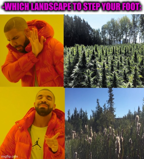 -Be included in mind. | -WHICH LANDSCAPE TO STEP YOUR FOOT: | image tagged in memes,drake hotline bling,cannabis,battlefield,landscapes,trees | made w/ Imgflip meme maker
