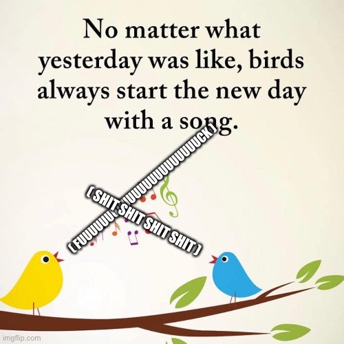 A new day | ( FUUUUUUUUUUUUUUUUUUUUUUCK ); ( SHIT SHIT SHIT SHIT ) | image tagged in birds,angry birds | made w/ Imgflip meme maker