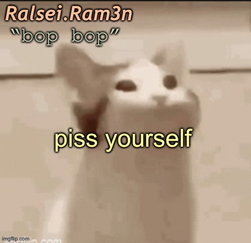bop cat | piss yourself | image tagged in bop cat | made w/ Imgflip meme maker