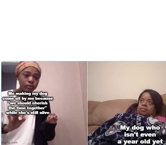 based off of true-ass events | Me making my dog come sit by me because ''we should cherish the time together'' while she's still alive; My dog who isn't even a year old yet | image tagged in girl crying to her mum | made w/ Imgflip meme maker