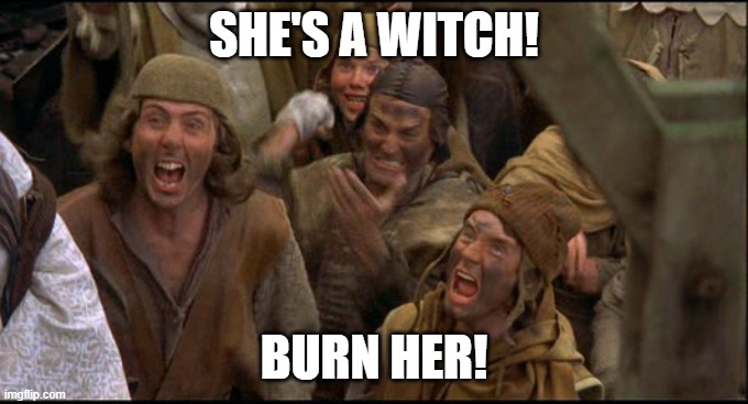 Monty Python witch | SHE'S A WITCH! BURN HER! | image tagged in monty python witch | made w/ Imgflip meme maker