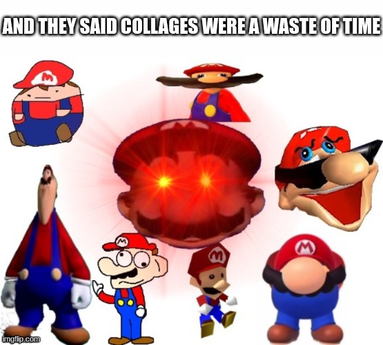 AND THEY SAID COLLAGES WERE A WASTE OF TIME | image tagged in white text box,mario,smg4,derp,pie charts,noooooo you cant just add random tags | made w/ Imgflip meme maker