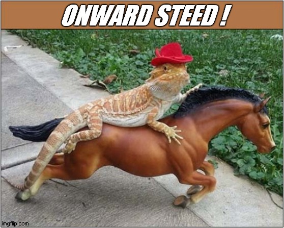 Ride Lizard Cowboy, Ride Like The Wind ! | ONWARD STEED ! | image tagged in lizard,cowboy,steed,ride like the wind | made w/ Imgflip meme maker