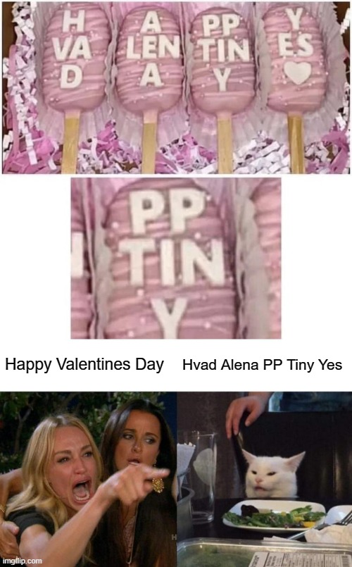 Happy Valentines Day; Hvad Alena PP Tiny Yes | image tagged in memes,woman yelling at cat | made w/ Imgflip meme maker