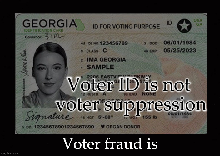 Voter ID is not  voter suppression |  Voter ID is not 
voter suppression; Voter fraud is | image tagged in voter id,voter fraud | made w/ Imgflip meme maker