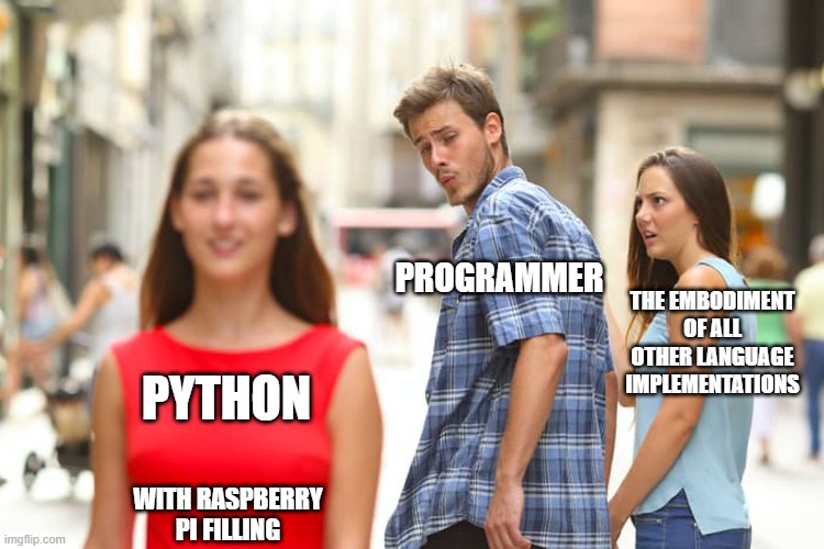 When pi is on the table. | PROGRAMMER; THE EMBODIMENT OF ALL OTHER LANGUAGE IMPLEMENTATIONS; PYTHON; WITH RASPBERRY PI FILLING | image tagged in memes,distracted boyfriend,technology,software,programming,python | made w/ Imgflip meme maker