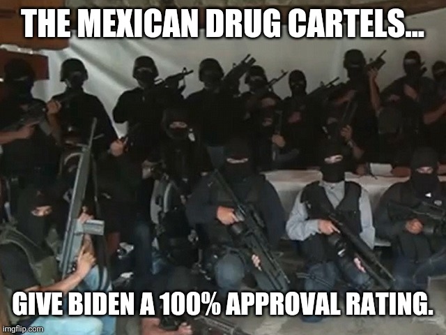 They're making a fortune. | THE MEXICAN DRUG CARTELS... GIVE BIDEN A 100% APPROVAL RATING. | image tagged in memes | made w/ Imgflip meme maker