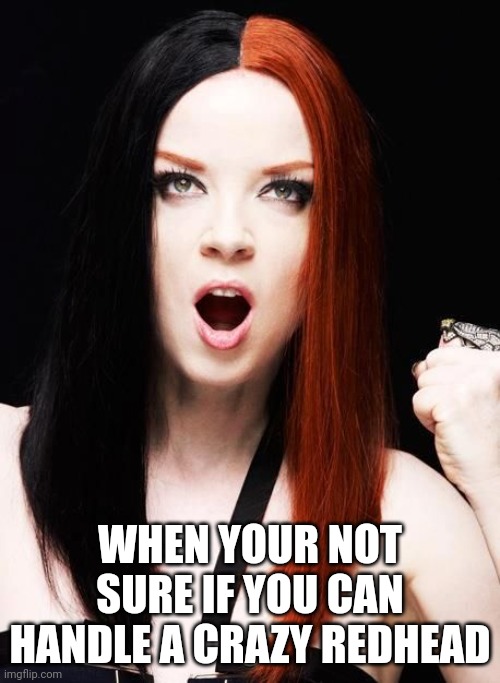Stupid girl. Shirley Manson | WHEN YOUR NOT SURE IF YOU CAN HANDLE A CRAZY REDHEAD | image tagged in redhead | made w/ Imgflip meme maker