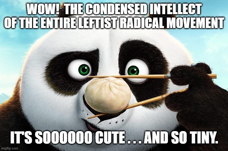 Who knew that it would be so small? | WOW!  THE CONDENSED INTELLECT OF THE ENTIRE LEFTIST RADICAL MOVEMENT; IT'S SOOOOOO CUTE . . . AND SO TINY. | image tagged in leftist,intellect,tiny | made w/ Imgflip meme maker