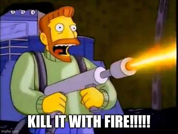 Kill it with fire | KILL IT WITH FIRE!!!!! | image tagged in kill it with fire | made w/ Imgflip meme maker