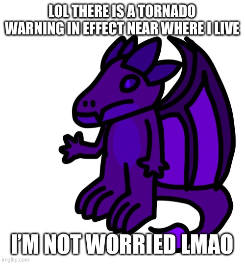 What am I gonna do anyways, go to the basement that we do not have? | LOL THERE IS A TORNADO WARNING IN EFFECT NEAR WHERE I LIVE; I’M NOT WORRIED LMAO | made w/ Imgflip meme maker
