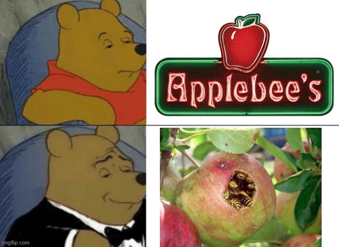 THE REAL APPLEBEES | image tagged in memes,tuxedo winnie the pooh,applebee's,apple,bees,fun | made w/ Imgflip meme maker