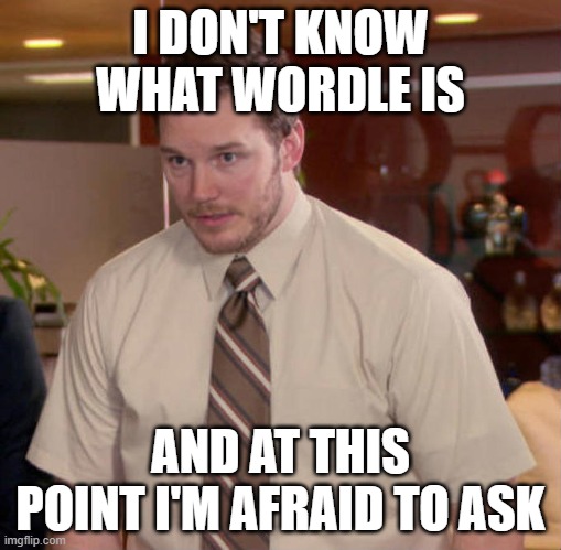 andy dwyer |  I DON'T KNOW WHAT WORDLE IS; AND AT THIS POINT I'M AFRAID TO ASK | image tagged in andy dwyer | made w/ Imgflip meme maker