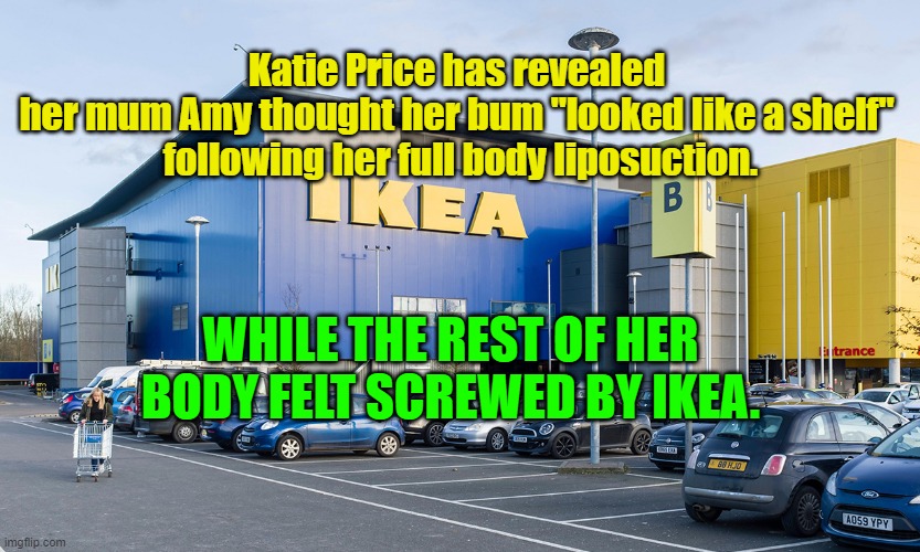 IKEA | Katie Price has revealed 
her mum Amy thought her bum "looked like a shelf" 
following her full body liposuction. WHILE THE REST OF HER BODY FELT SCREWED BY IKEA. | image tagged in fun | made w/ Imgflip meme maker