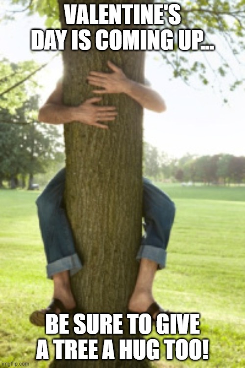 Give Your Reasons to Hug a Tree |  VALENTINE'S DAY IS COMING UP... BE SURE TO GIVE A TREE A HUG TOO! | image tagged in tree hugger,oxygen,carbon dioxide,breathe,hug a tree | made w/ Imgflip meme maker