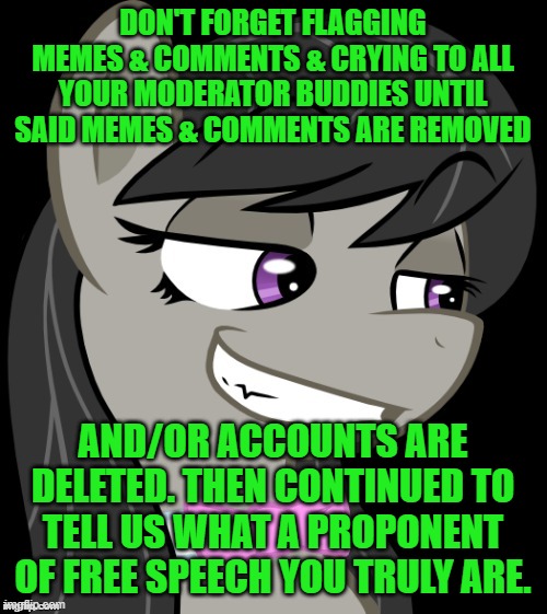 Octavia_Melody's Desire | DON'T FORGET FLAGGING MEMES & COMMENTS & CRYING TO ALL YOUR MODERATOR BUDDIES UNTIL SAID MEMES & COMMENTS ARE REMOVED; AND/OR ACCOUNTS ARE DELETED. THEN CONTINUED TO TELL US WHAT A PROPONENT OF FREE SPEECH YOU TRULY ARE. | image tagged in octavia_melody's desire | made w/ Imgflip meme maker