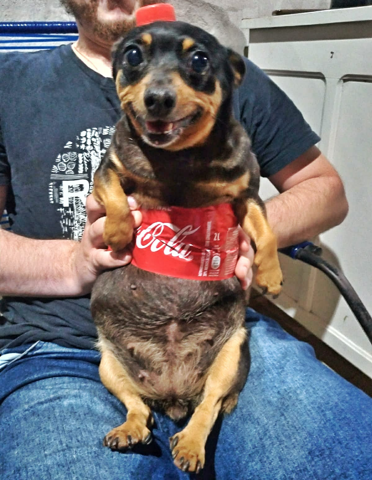 Dog-Cola Blank Meme Template