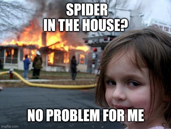 Disaster Girl Meme | SPIDER IN THE HOUSE? NO PROBLEM FOR ME | image tagged in memes,disaster girl | made w/ Imgflip meme maker