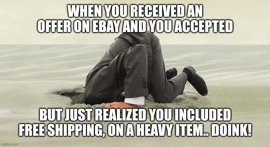 Head buried in sand, mistake | WHEN YOU RECEIVED AN OFFER ON EBAY AND YOU ACCEPTED; BUT JUST REALIZED YOU INCLUDED FREE SHIPPING, ON A HEAVY ITEM.. DOINK! | image tagged in head buried in sand | made w/ Imgflip meme maker