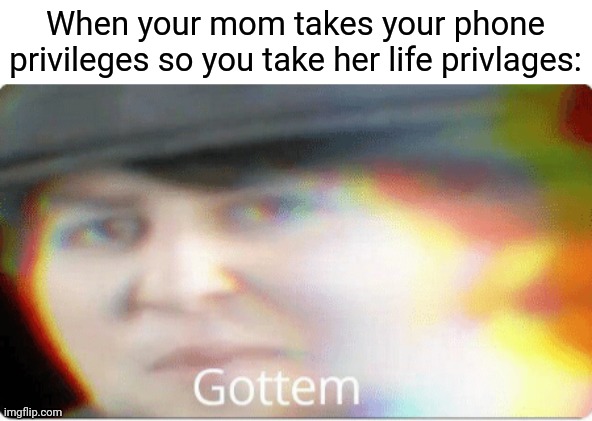 Gottem |  When your mom takes your phone privileges so you take her life privlages: | image tagged in ladies,and,gentlemen,we,gottem | made w/ Imgflip meme maker