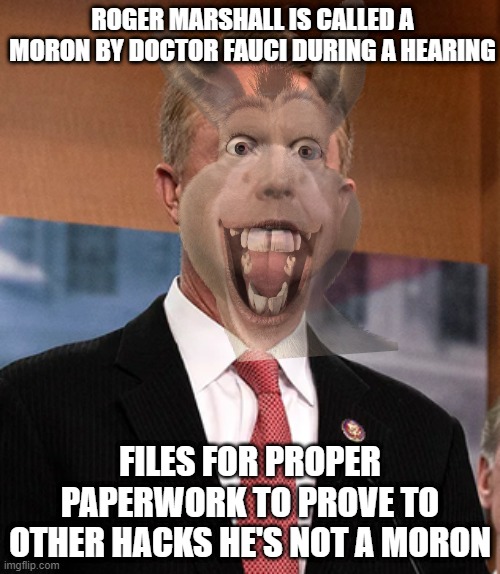 Roger Marshall | ROGER MARSHALL IS CALLED A MORON BY DOCTOR FAUCI DURING A HEARING; FILES FOR PROPER PAPERWORK TO PROVE TO OTHER HACKS HE'S NOT A MORON | image tagged in roger marshall | made w/ Imgflip meme maker