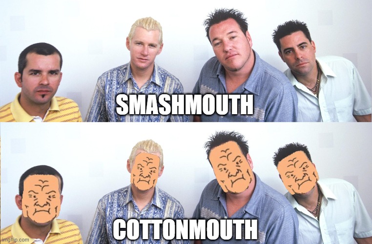 Cottonmouth |  SMASHMOUTH; COTTONMOUTH | image tagged in dale king of the hill,smashmouth,cotton mouth,killed fiddy men | made w/ Imgflip meme maker